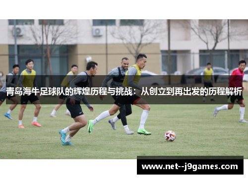 青岛海牛足球队的辉煌历程与挑战：从创立到再出发的历程解析